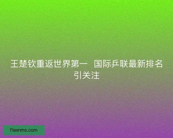 王楚钦重返世界第一  国际乒联最新排名引关注