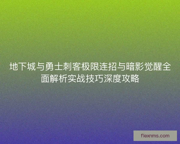 地下城与勇士刺客极限连招与暗影觉醒全面解析实战技巧深度攻略